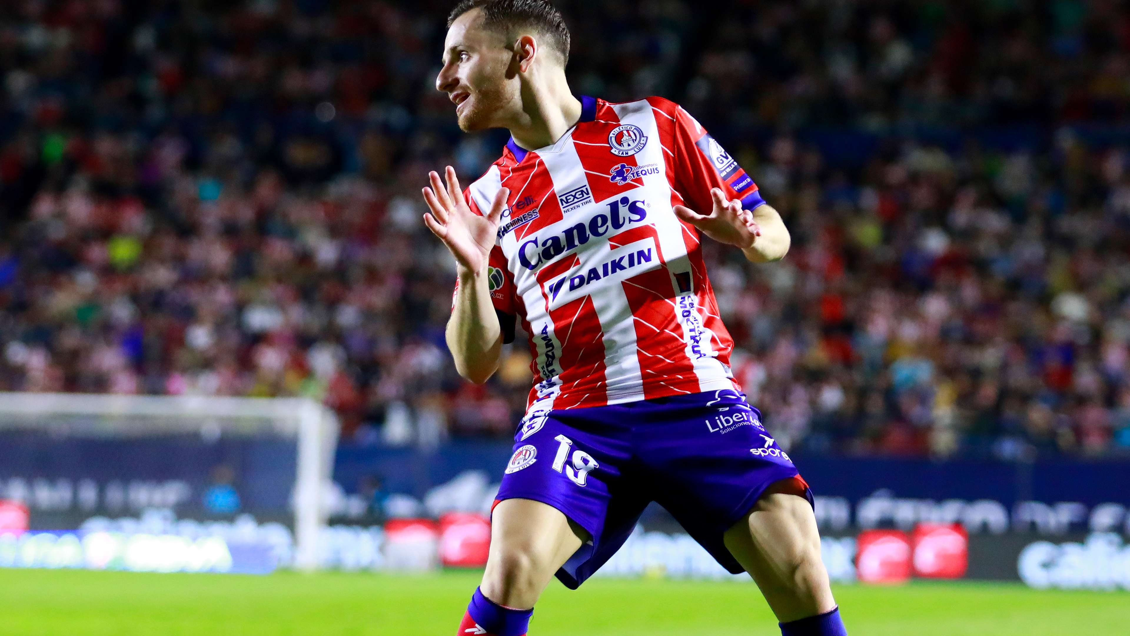 个人能力和 个人能力和