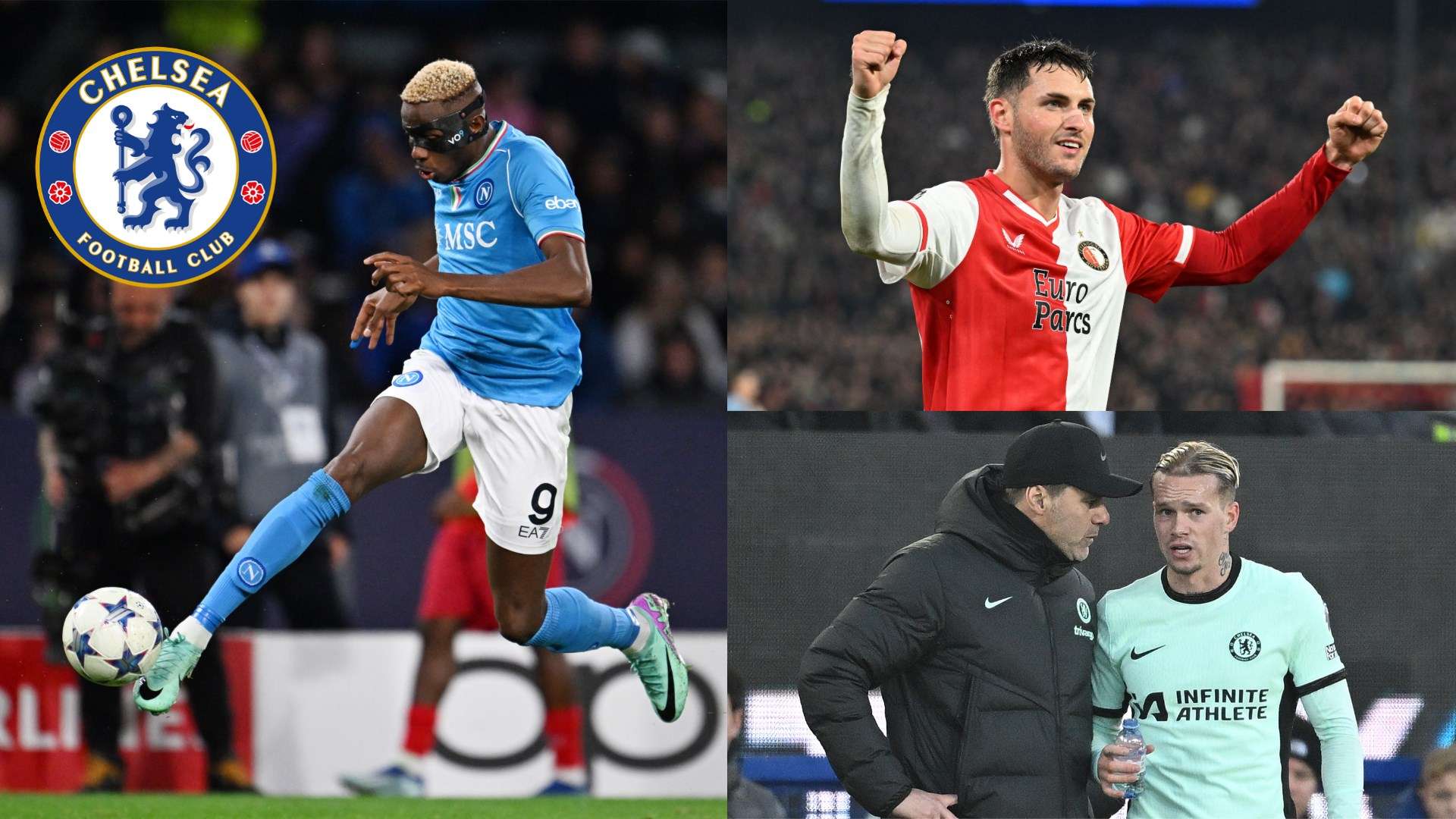 全运会夺金 全运会夺金